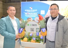 Proudly displaying their pineapples that are specially air freighted from Panama are producers Ing. Eliezer Domingues and Hipolito Vergara.